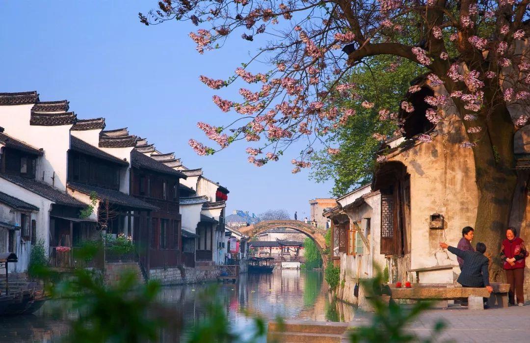 于凤至:为保丈夫性命无奈签离婚书;苦等50年,丈夫娶小11岁佳人